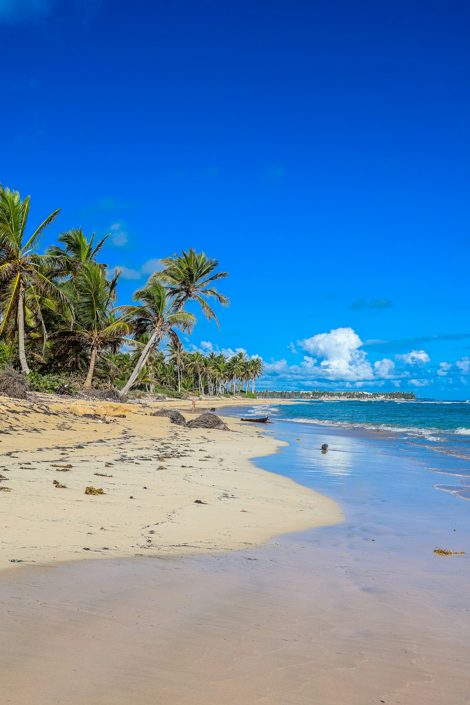 Paisaje de Punta Cana, República Dominicana