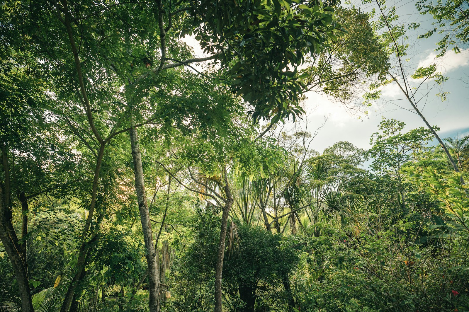Paisaje de Tarapoto, Perú